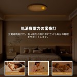 Coizabera LEDシーリングライト 6畳 30W 3600lm 調光調色 赤外線リモコン操作 豆電球常夜灯 天井照明器具 おしゃれ ledライト 電気 蛍光灯 リモコン付き シーリングライト6畳 和室/洋室/寝室/玄関/リビング/キッチン適用（アプリ操作機能なし）