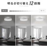 シーリングライト LED照明 インテリア照明 8畳 LEDシーリングライト リモコン 天井照明 おしゃれ 調光 調色 リビング 寝室 子供部屋 寝室 和室 洋室 HD2-ledcl-dp05-bk