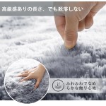 ラグマット カーペット 120x160cm おしゃれな北欧風シャギーラグ 全厚約5cm 洗えるラグ 滑り止め付き 毛足約4cm ふわっとした手触り 防音絨毯 オールシーズン快適に使用 長方形 ROCYJULIN（ライトグレー 約1.5畳 ）