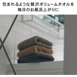 タオル研究所 [ボリュームリッチ] #003 フェイスタオル ライトグレー 5枚セット ホテル仕様 厚手 ふかふか ボリューム 高速吸水 耐久性 綿100% 480GSM JapanTechnology