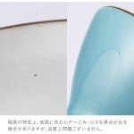 simfe. (シンフェ) 食器セット6点 23㎝プレート 16㎝プレート 14㎝ボウル フリーボウル どんぶり オーバルボウル 電子レンジ温め対応 ブルー